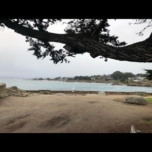 Meet your Posher, Fred